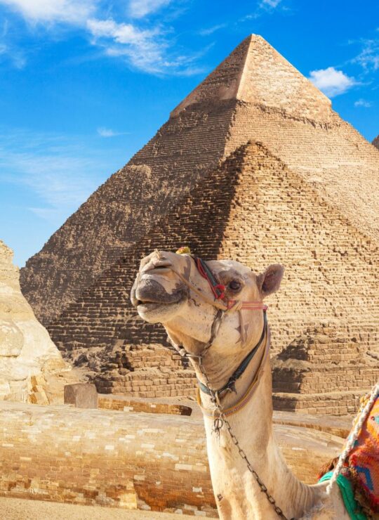 Cairo